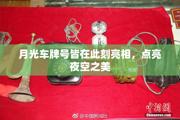 月光车牌号皆在此刻亮相，点亮夜空之美
