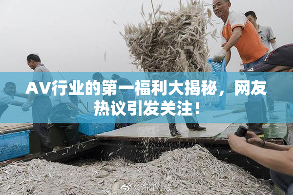 AV行业的第一福利大揭秘，网友热议引发关注！
