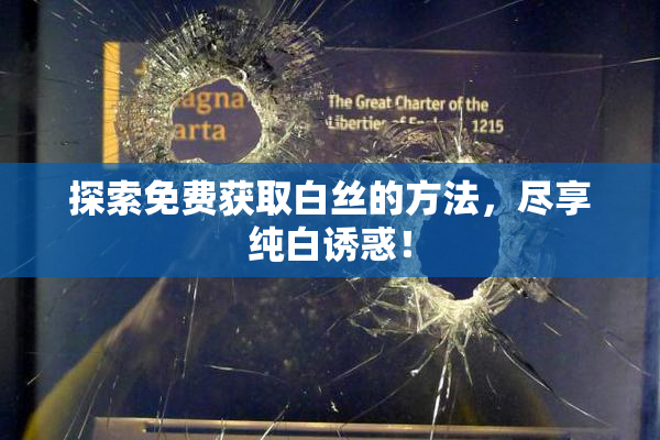 探索免费获取白丝的方法，尽享纯白诱惑！