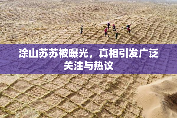 涂山苏苏被曝光，真相引发广泛关注与热议