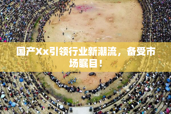 国产Xx引领行业新潮流，备受市场瞩目！