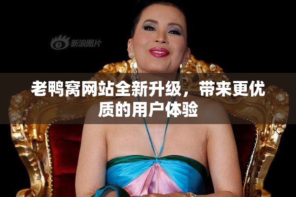 老鸭窝网站全新升级，带来更优质的用户体验
