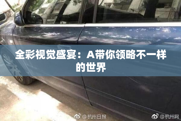 全彩视觉盛宴：A带你领略不一样的世界