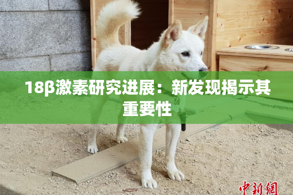 18β激素研究进展：新发现揭示其重要性