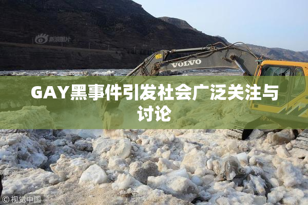 GAY黑事件引发社会广泛关注与讨论