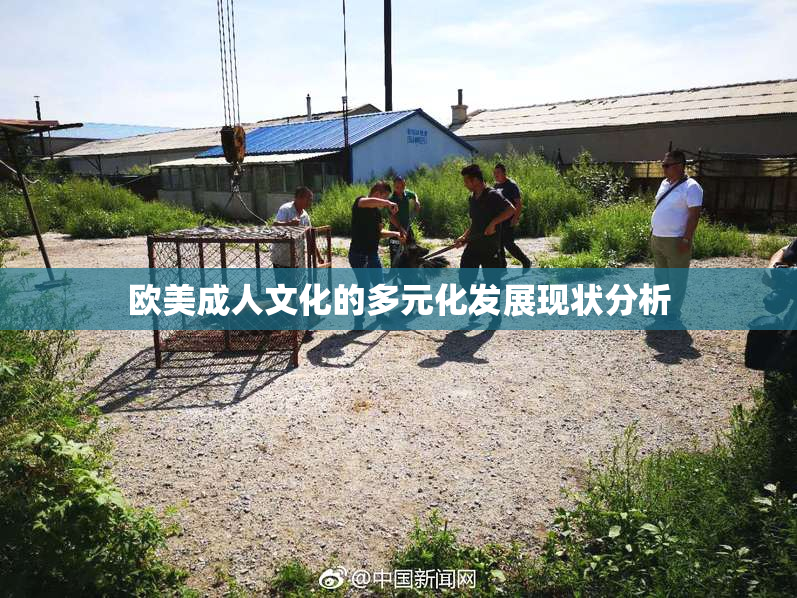 欧美成人文化的多元化发展现状分析