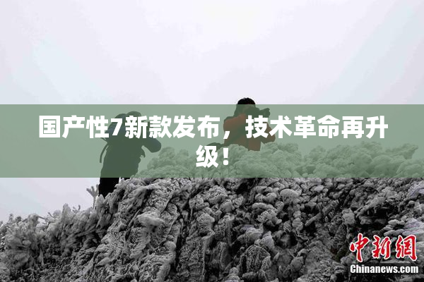 国产性7新款发布，技术革命再升级！