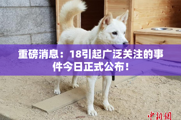 重磅消息：18引起广泛关注的事件今日正式公布！