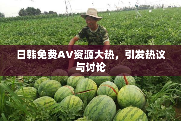 日韩免费AV资源大热，引发热议与讨论