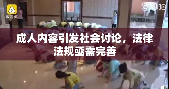 成人内容引发社会讨论，法律法规亟需完善