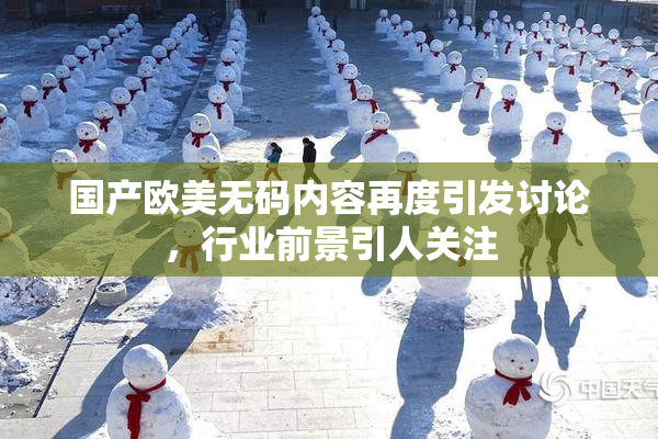 国产欧美无码内容再度引发讨论，行业前景引人关注