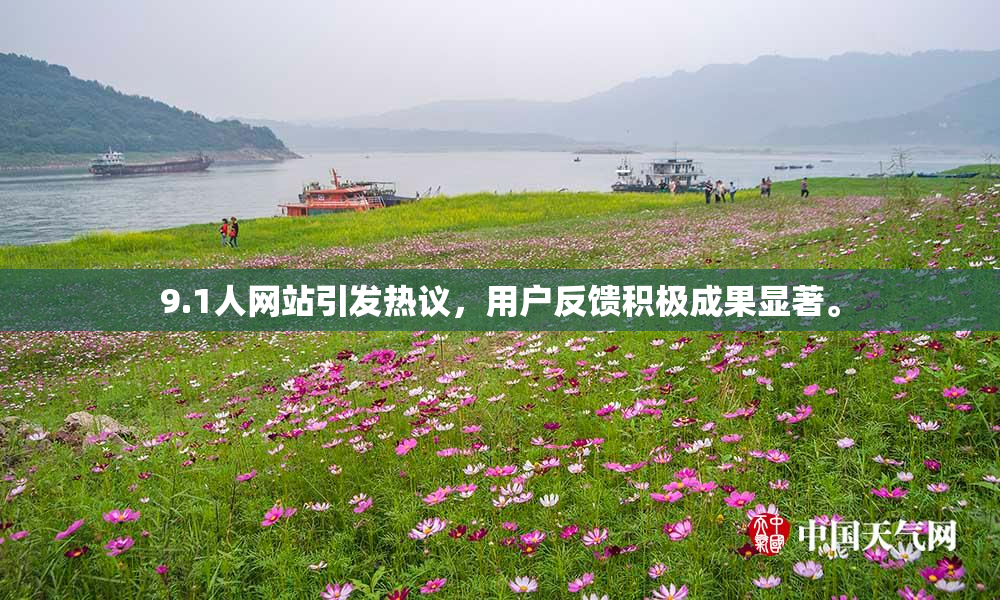 9.1人网站引发热议，用户反馈积极成果显著。