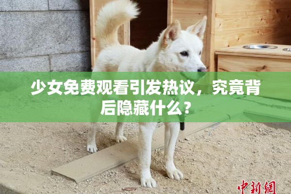 少女免费观看引发热议，究竟背后隐藏什么？