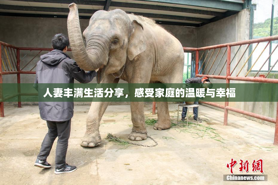 人妻丰满生活分享，感受家庭的温暖与幸福