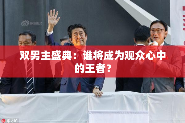 双男主盛典：谁将成为观众心中的王者？