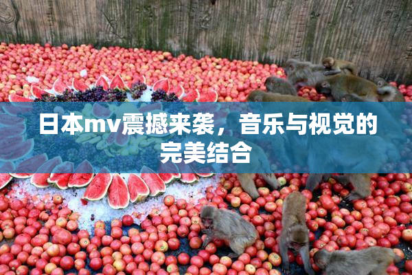 日本mv震撼来袭，音乐与视觉的完美结合
