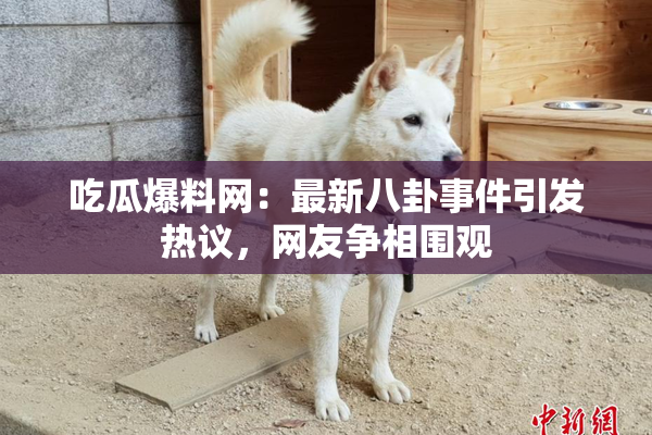 吃瓜爆料网：最新八卦事件引发热议，网友争相围观