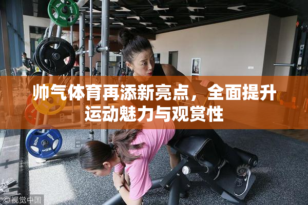 帅气体育再添新亮点，全面提升运动魅力与观赏性