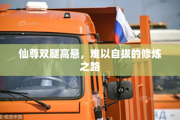 仙尊双腿高悬，难以自拔的修炼之路