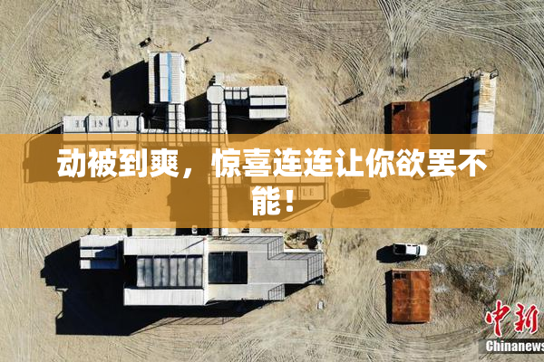 动被到爽，惊喜连连让你欲罢不能！