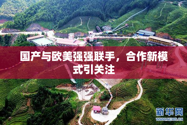 国产与欧美强强联手，合作新模式引关注