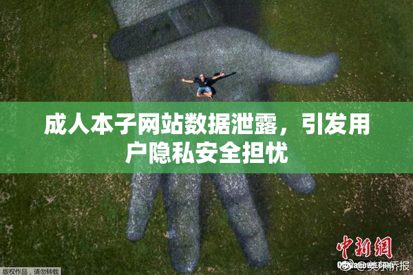 成人本子网站数据泄露，引发用户隐私安全担忧