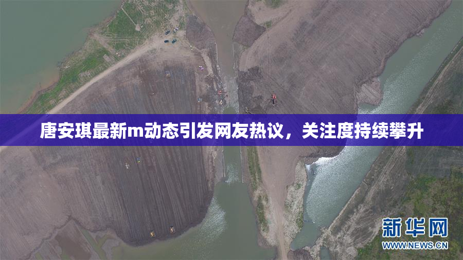 唐安琪最新m动态引发网友热议，关注度持续攀升