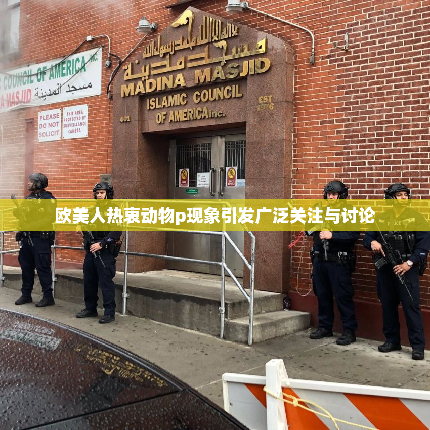 欧美人热衷动物p现象引发广泛关注与讨论