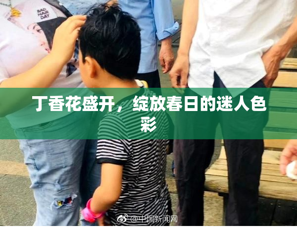 丁香花盛开，绽放春日的迷人色彩