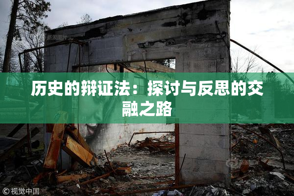 历史的辩证法：探讨与反思的交融之路