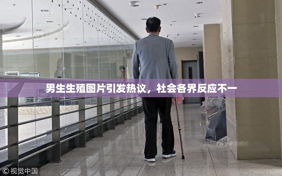 男生生殖图片引发热议，社会各界反应不一