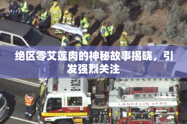 绝区零艾莲肉的神秘故事揭晓，引发强烈关注
