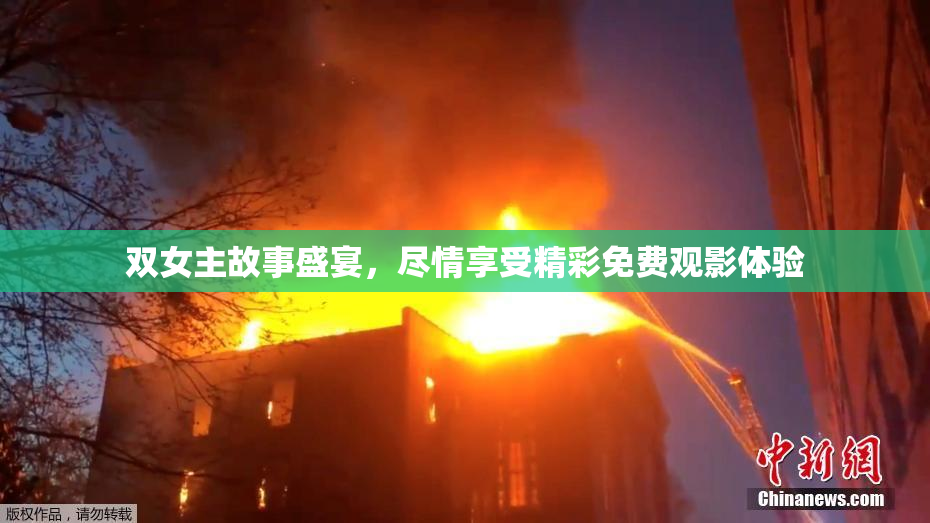 双女主故事盛宴，尽情享受精彩免费观影体验