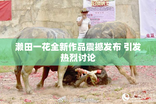 濑田一花全新作品震撼发布 引发热烈讨论