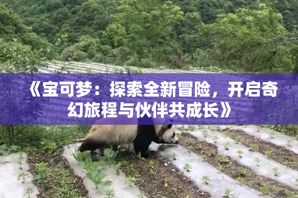《宝可梦：探索全新冒险，开启奇幻旅程与伙伴共成长》