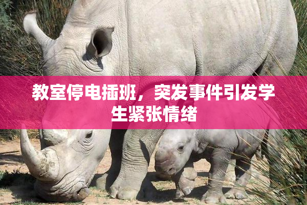 教室停电插班，突发事件引发学生紧张情绪