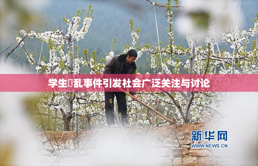 学生婬乱事件引发社会广泛关注与讨论
