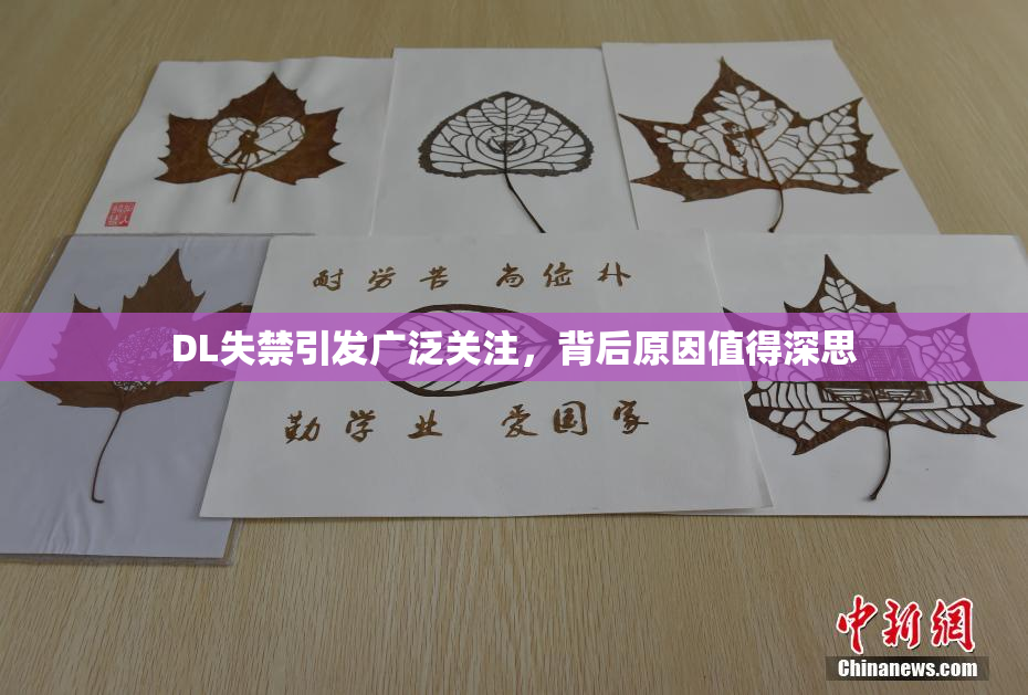 DL失禁引发广泛关注，背后原因值得深思