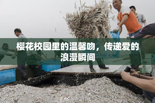 樱花校园里的温馨吻，传递爱的浪漫瞬间