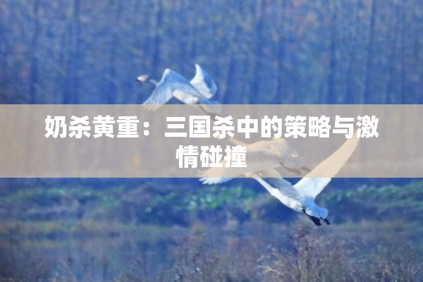 奶杀黄重：三国杀中的策略与激情碰撞