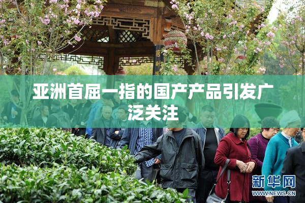 亚洲首屈一指的国产产品引发广泛关注