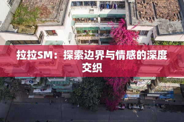 拉拉SM：探索边界与情感的深度交织