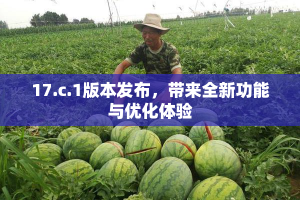 17.c.1版本发布，带来全新功能与优化体验