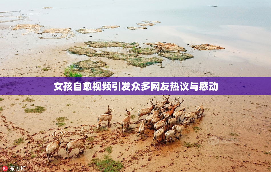 女孩自愈视频引发众多网友热议与感动