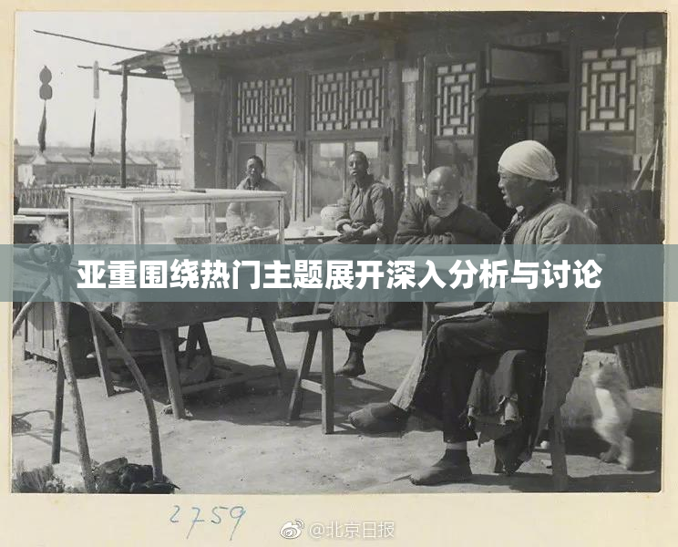 亚重围绕热门主题展开深入分析与讨论