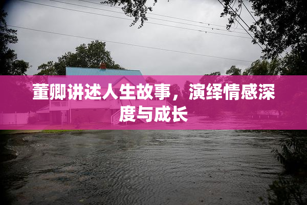 董卿讲述人生故事，演绎情感深度与成长
