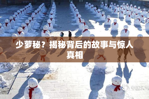 少萝秘？揭秘背后的故事与惊人真相
