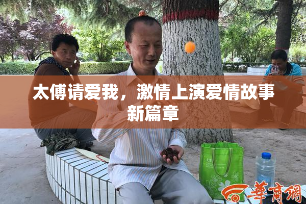 太傅请爱我，激情上演爱情故事新篇章
