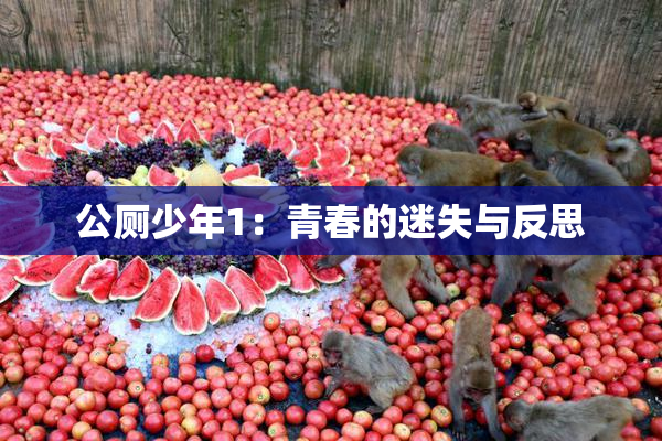 公厕少年1：青春的迷失与反思
