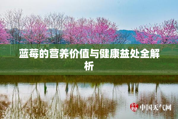 蓝莓的营养价值与健康益处全解析